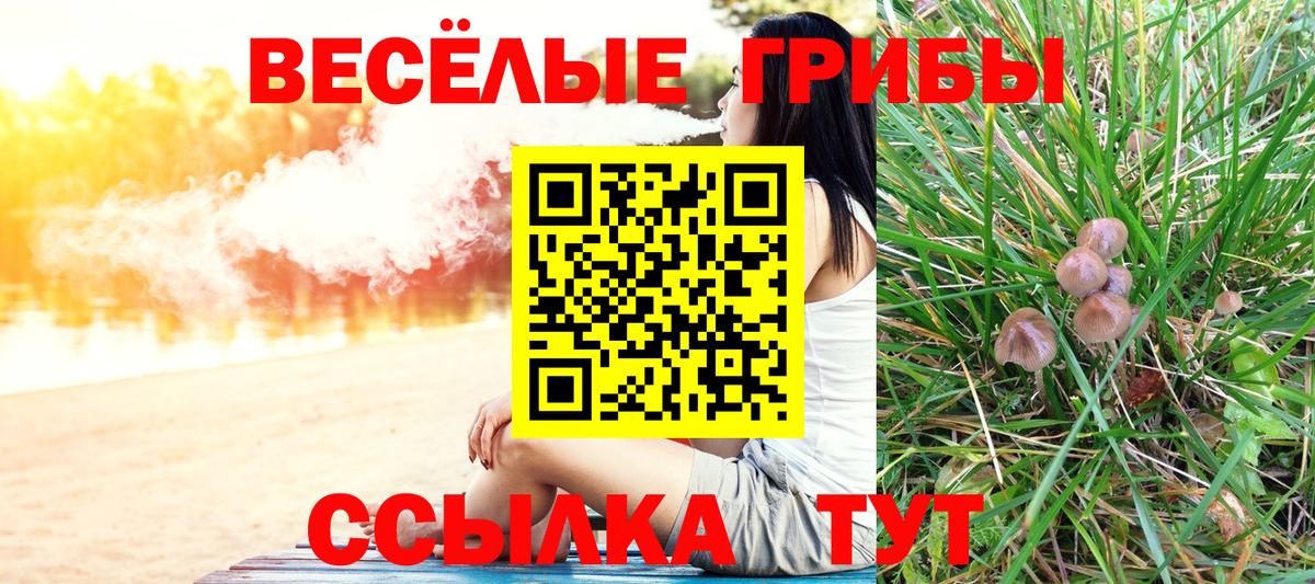 Псилоцибиновые грибы прущие грибы  Вход с VPN  Нефтеюганск 